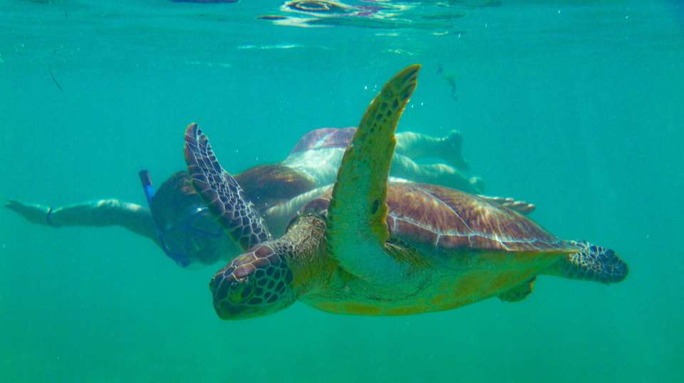 Philippines Grand Tour See & Experience it all in 14 days - Charliethetraveler - Philippines