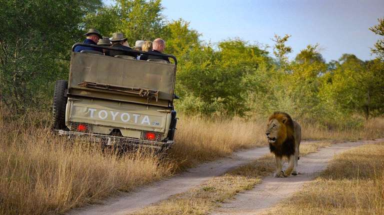 South Africa: See & Experience it all in 12 Days trip - alternative tour available