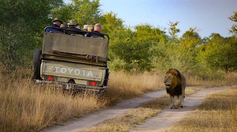 South Africa: See & Experience It All In 12 Days - March 2026