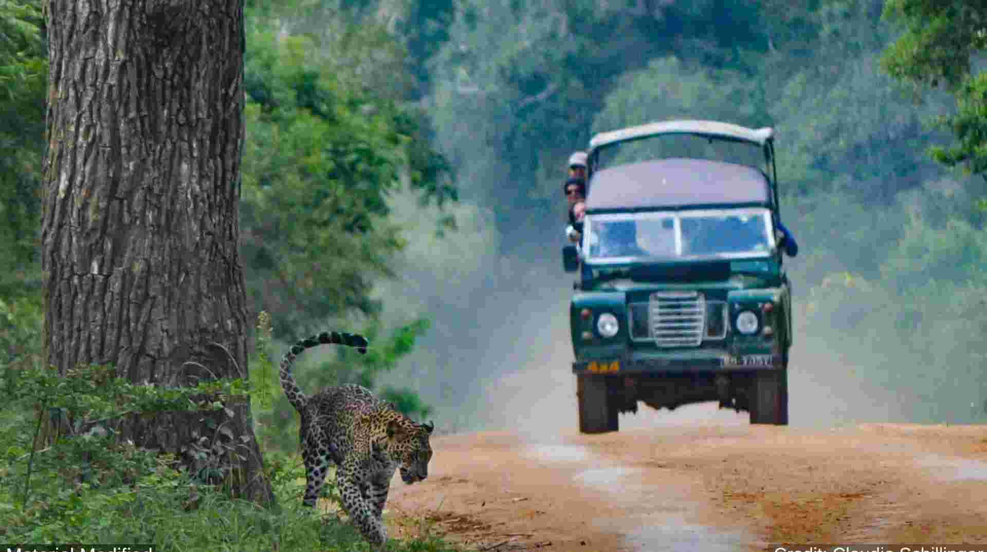 Sri Lanka: See & Experience it all in 10 days, Luxury Tour