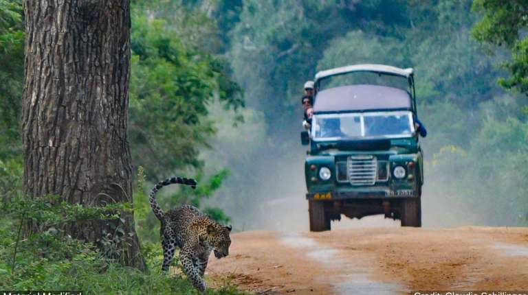 Sri Lanka Sightseeing Tour: Sri Lanka: See & Experience it all in 10 days, Luxury Tour