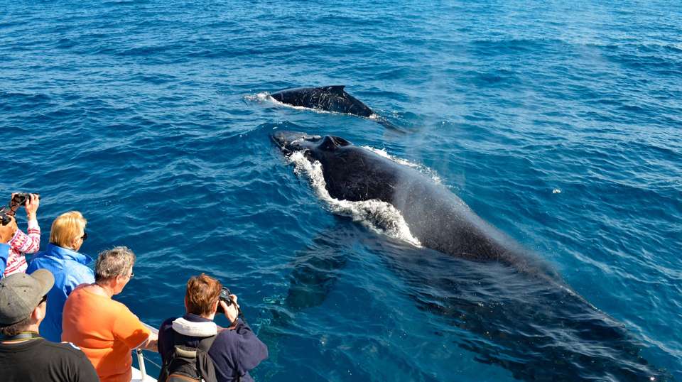 Sri Lanka: See & Experience it all in 10 days, Luxury Tour - Charliethetraveler - Sri Lanka - Image 15