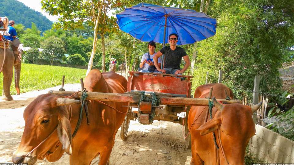 Thailand North and Central: See & experience it all - Charliethetraveler - Thailand - Image 26