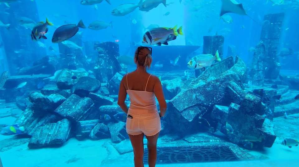 United Arab Emirates & Dubai: See & Experience it all - Charliethetraveler - UAE - Image 6