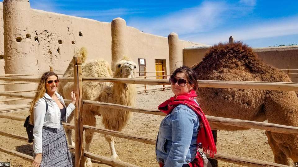 Uzbekistan See & Experience it all in 8 days, Luxury Tour - Charliethetraveler - Uzbekistan - Image 6