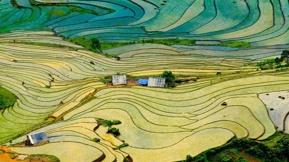 Vietnam: See & Experience it all in 11 days, Luxury Tour - Charliethetraveler - Vietnam