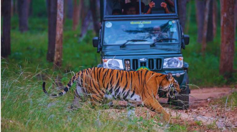 India: See & Experience it all in 17 days, Luxury Tour trip - alternative tour available