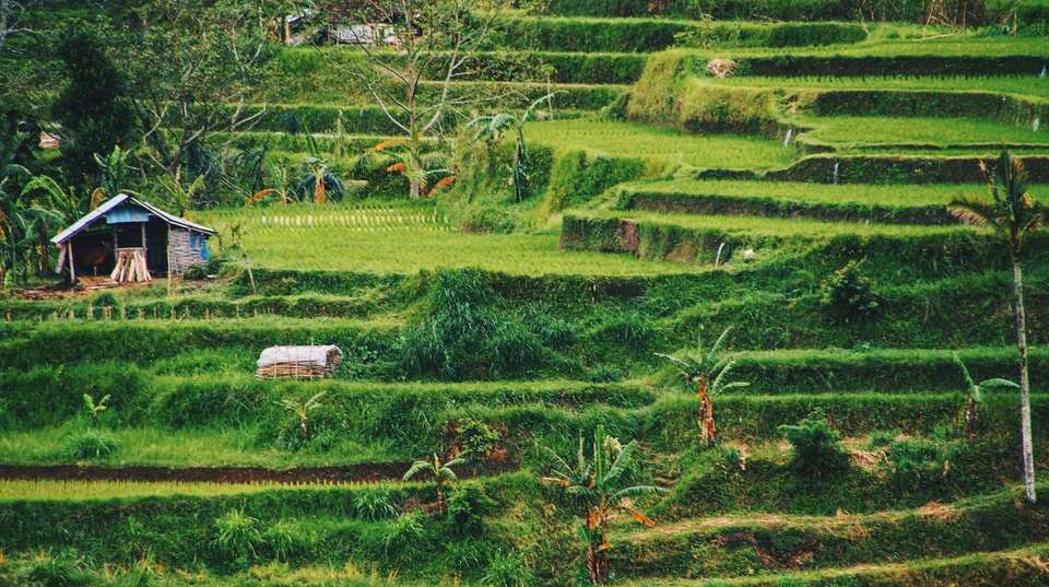 Bali Authentique In 10 Days - Realistic Asia - Indonesia - Image 11