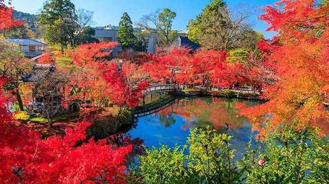 Group Tours: 17 Days China Japan Group Tour