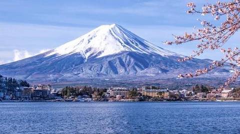 9 Days Japan Cherry Blossom Tour - April 2027