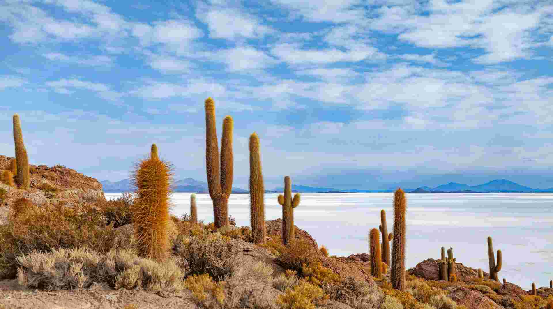 Colors of the Andes: From Santiago to Uyuni