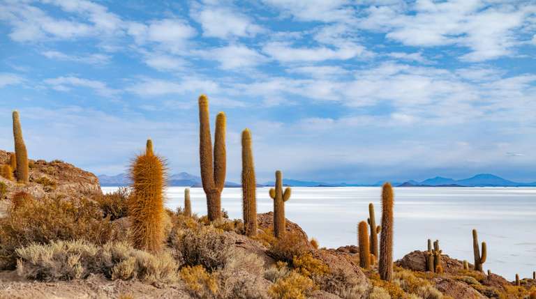 Andes Self Guided Tours: Colors of the Andes: From Santiago to Uyuni