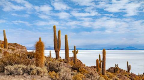 Colors Of The Andes: From Santiago To Uyuni
