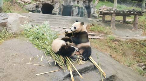 27-day China Adventure Tour - May 2027
