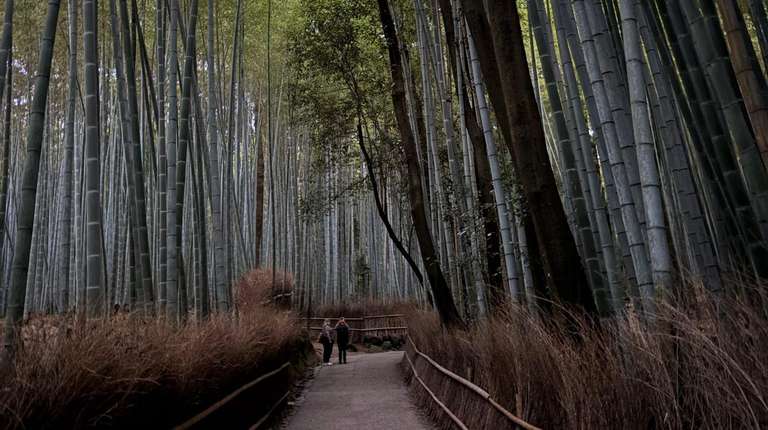 Japan Family Tour Packages: 12-Day Japan Family Tour Package