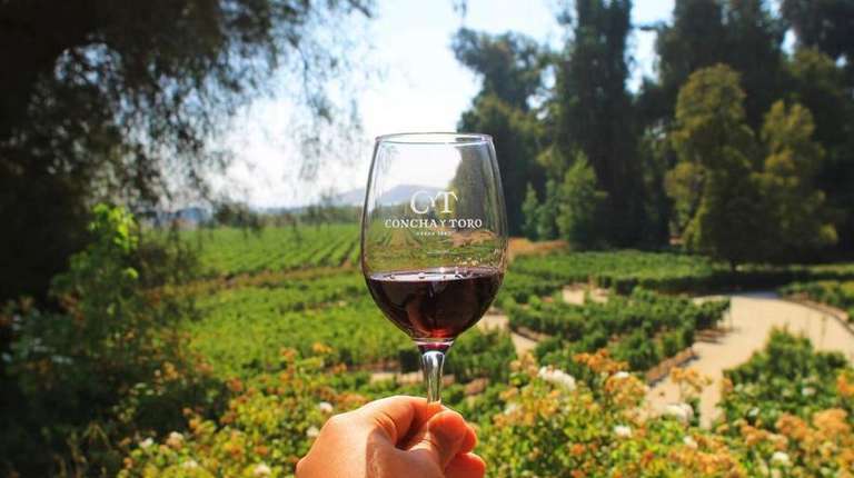 Concha y Toro Wine Experience - 5 hours