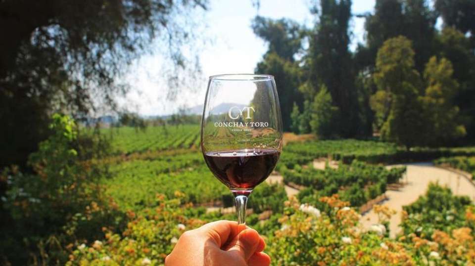 Concha y Toro Wine Experience - Gray Line Chile - Chile - Image 1