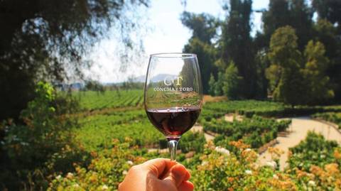 Concha Y Toro Wine Experience - 5 Hours