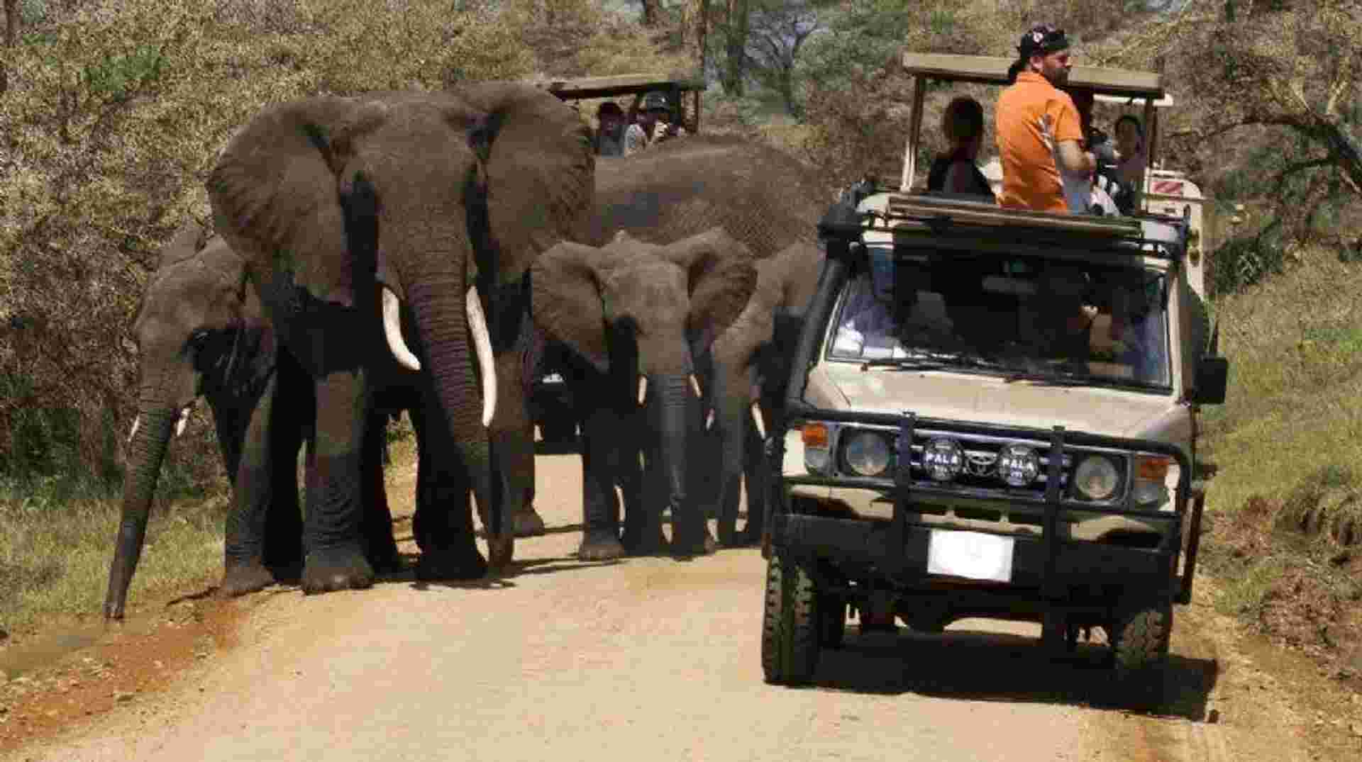 8-Day Discover Kenya Safari  