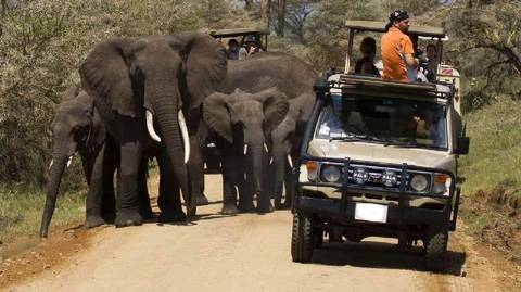 8-day Discover Kenya Safari - Winter Tours