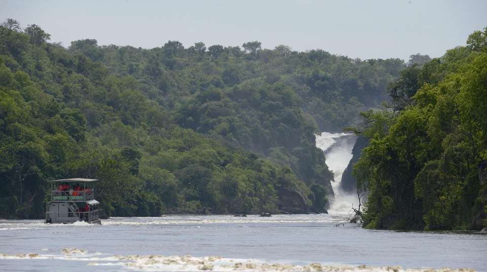 5-Day Big 5 Safari to Murchison and Chimpanzee Tracking - Home To Africa Tours And Travel - Uganda - Image 2