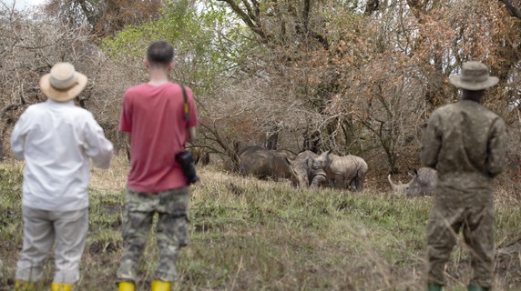 Image 4 of 6