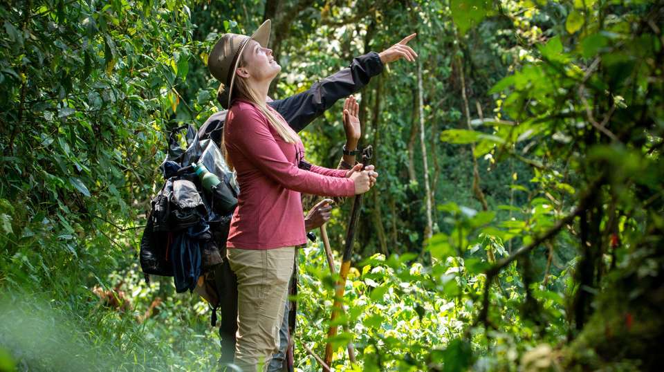 5-Day Gorilla Tour and Chimpanzee Tracking in Uganda - Home To Africa Tours And Travel - Uganda - Image 3