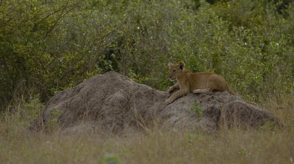 Image 3 of 5
