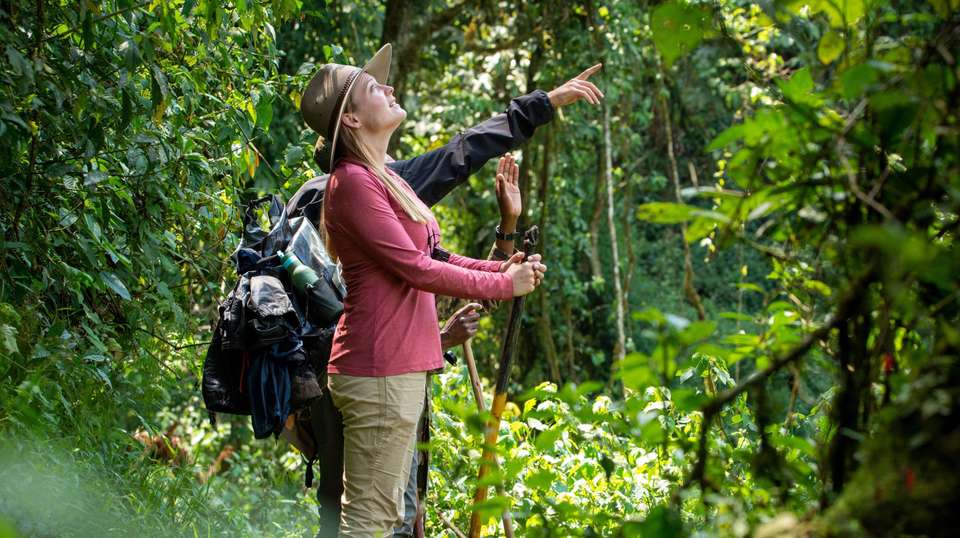 8-Day Uganda Vacation Including Chimps & Gorilla Trekking - Home To Africa Tours And Travel - Uganda - Image 2