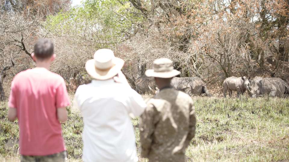 10-Day Safari Holiday in Uganda Including Gorilla Trek - Home To Africa Tours And Travel - Uganda - Image 3