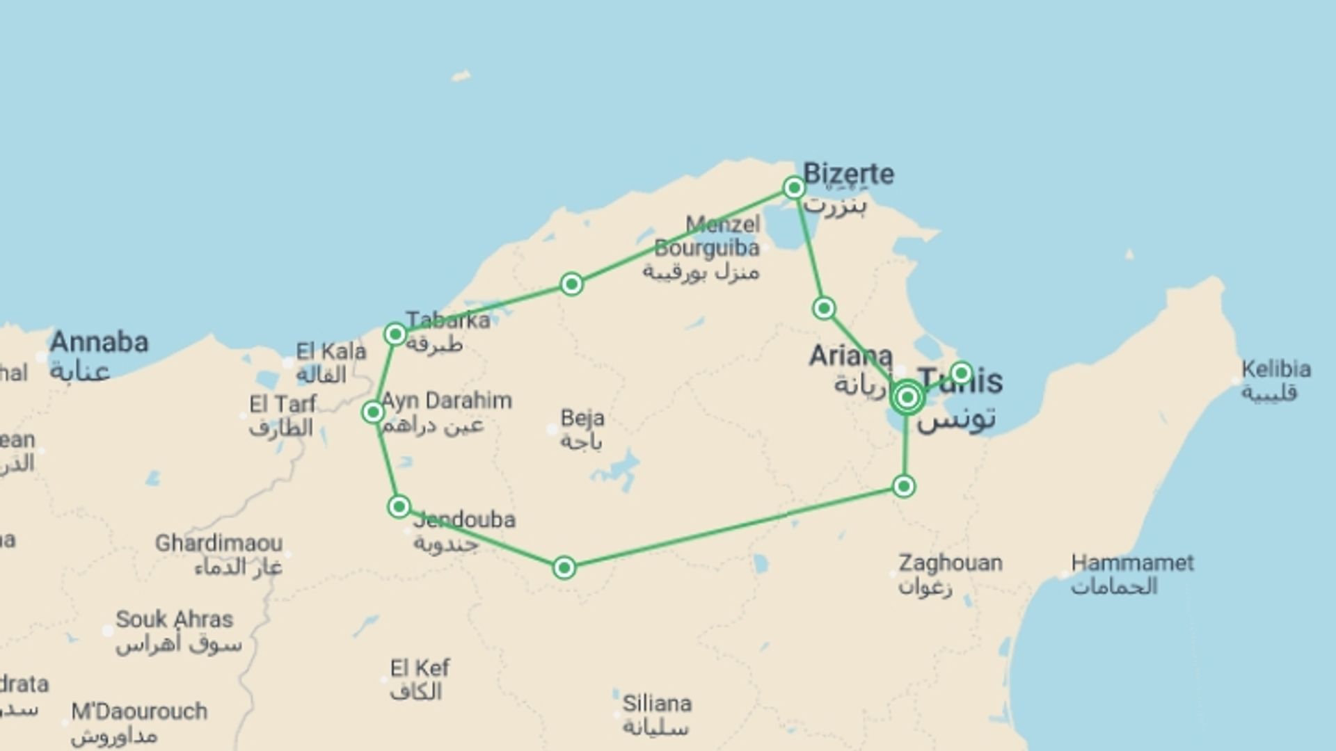 A map showing the tour itinerary for the trip: Nature And Culture, Small Group Tour, starting in Tunis, Tunisia and ending in Tunis, Tunisia going through 2 other destinations.