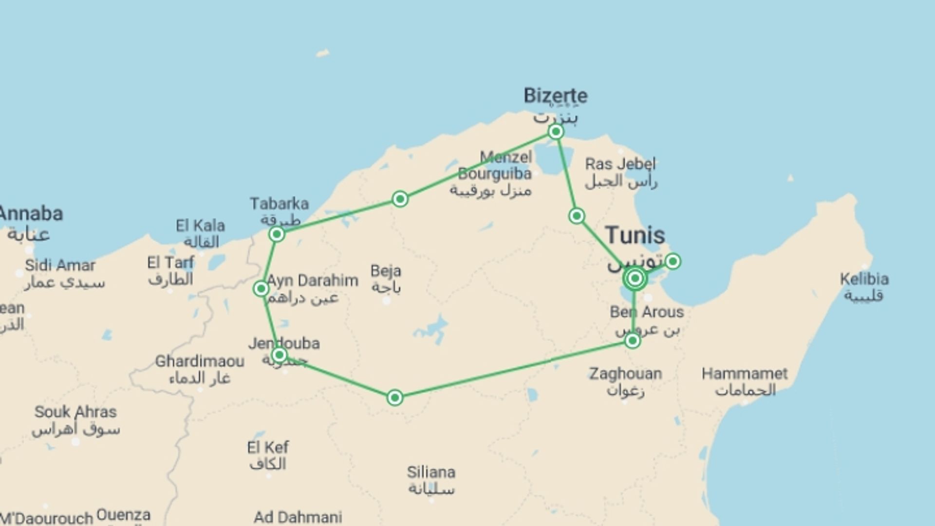 A map showing the tour itinerary for the trip: Nature And Culture, Small Group Tour, starting in Tunis, Tunisia and ending in Tunis, Tunisia going through 2 other destinations.