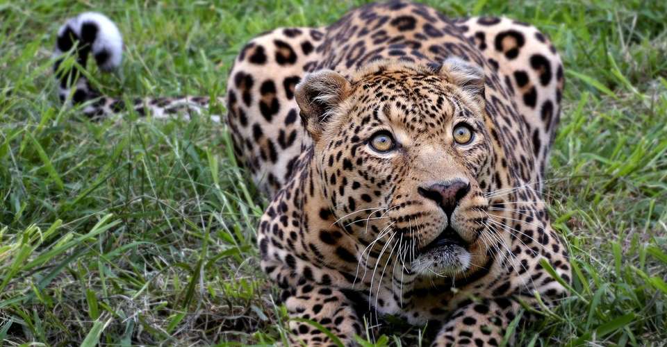 1 Day Safari in Tarangire National Park, start Arusha - Enosa Expeditions - Tanzania - Image 2