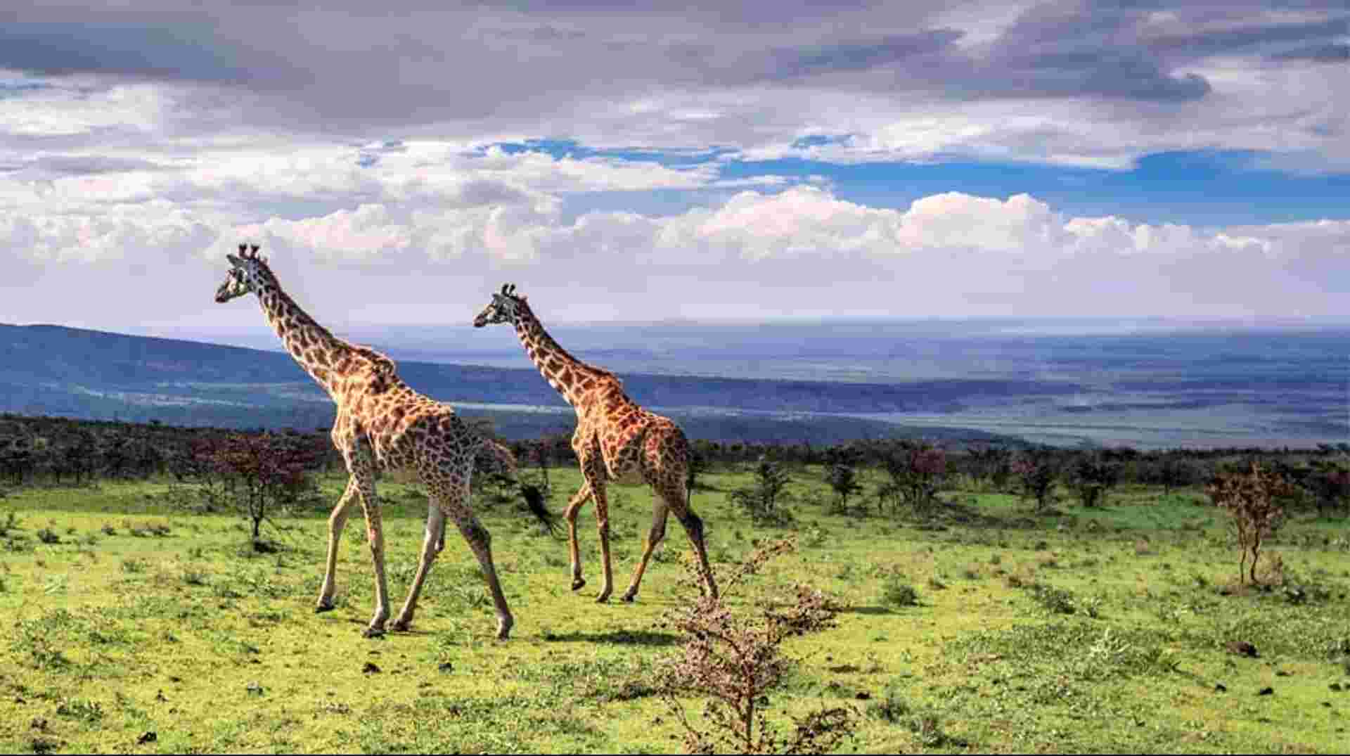 7 Days Tanzania Motorcycle Tour
