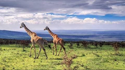 7 Days Tanzania Motorcycle Tour - 7 Days