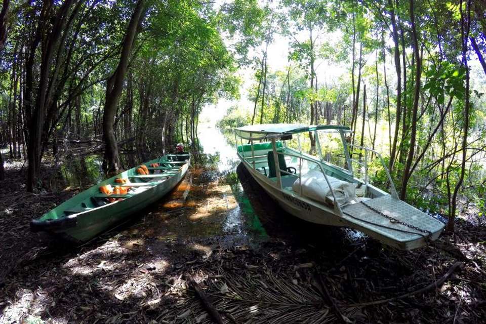 1 Night Package in Amazon Jungle with Fan - Tangol Tours - Brazil - Image 3