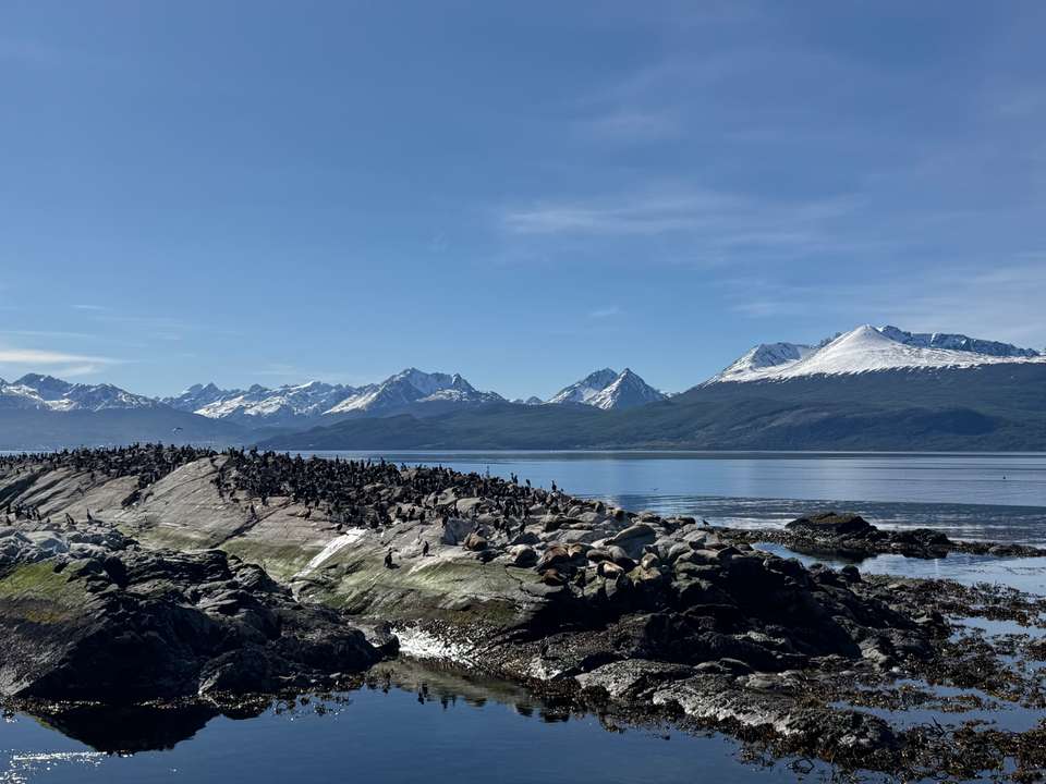 10-day Buenos Aires & Complete Patagonia Experience, French Or German-speaking Guide - Destination Services - Argentina - Image 3