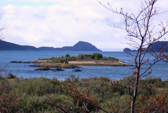 Image 5 of 6