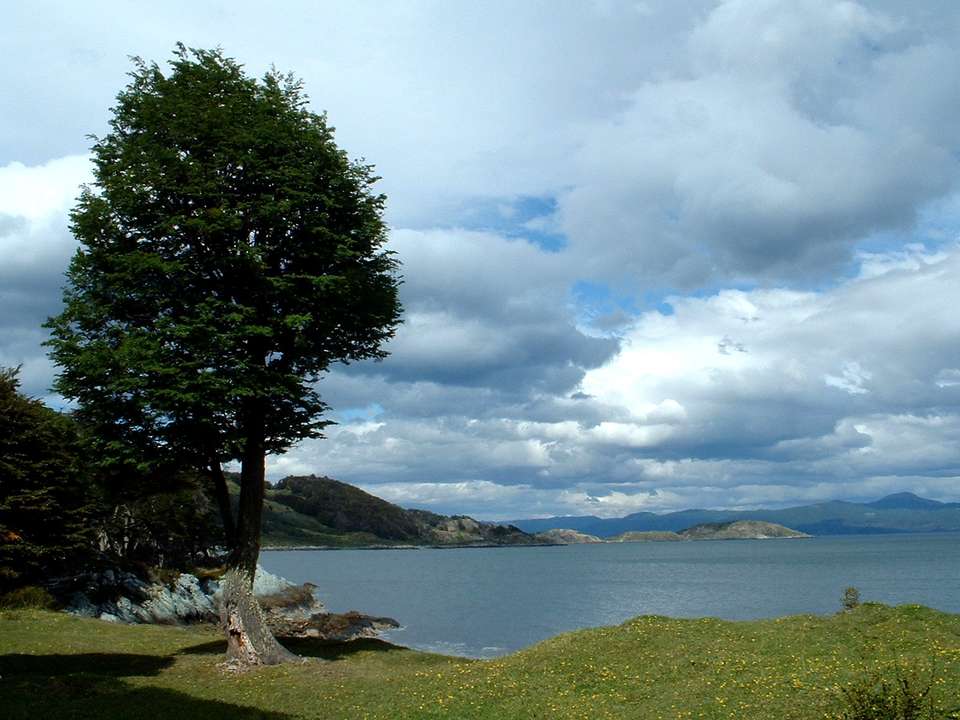 10-day Buenos Aires, Mendoza & Ushuaia Getaway, Private Tour, French-speaking Guide - Destination Services - Argentina - Image 6