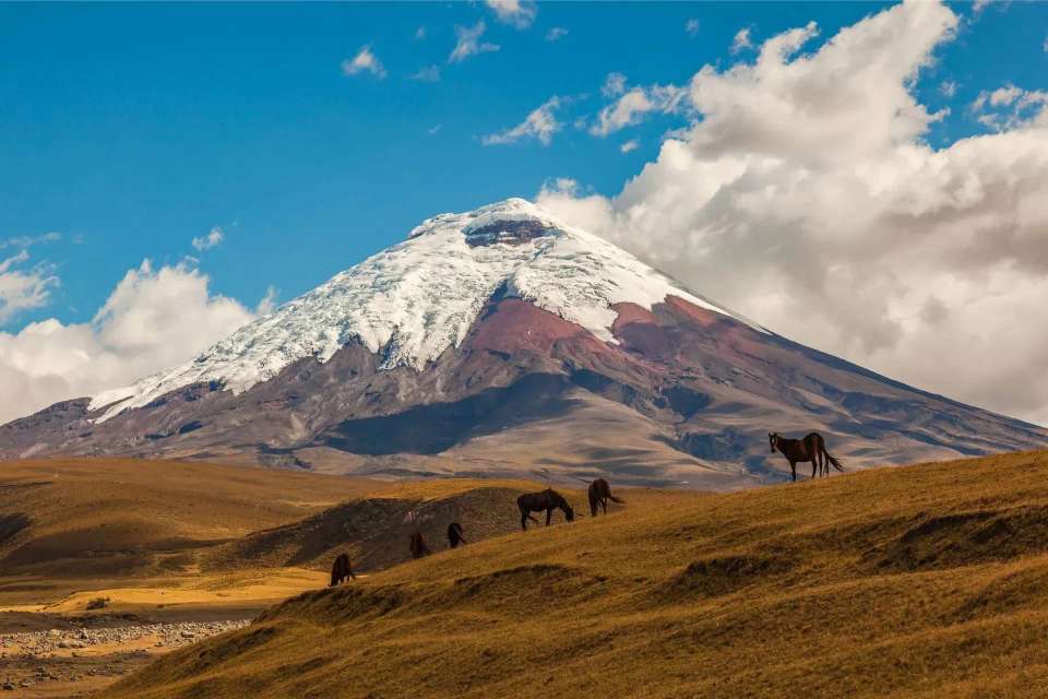 10-Day Family Adventure: Quito to Baños - undefined - Image 5