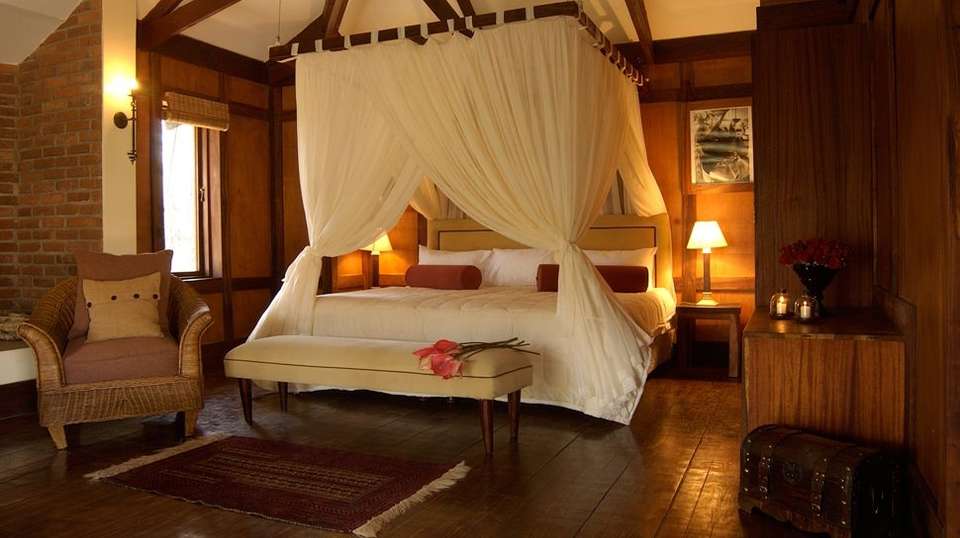 10-Day  Luxury Safari in Tanzania - Gosheni Safaris Africa - Tanzania - Image 2