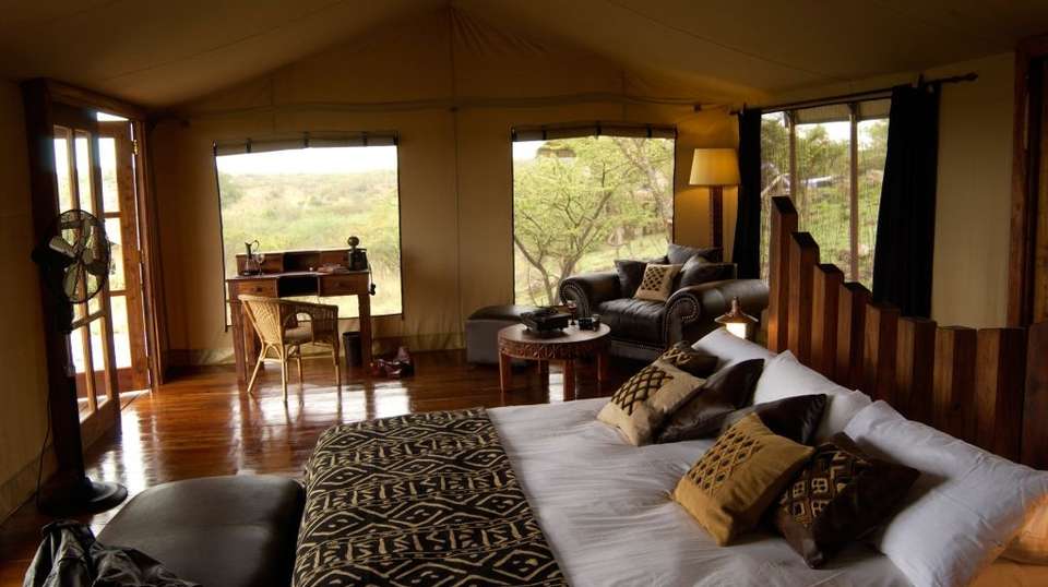 10-Day  Luxury Safari in Tanzania - Gosheni Safaris Africa - Tanzania - Image 3