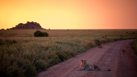 Image 4 of 9