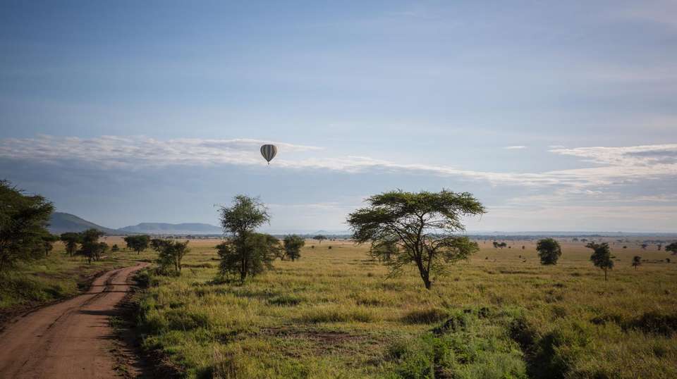 10-Day  Luxury Safari in Tanzania - Gosheni Safaris Africa - Tanzania - Image 8