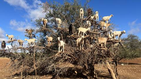 10 Day Private Tour From Marrakech - Summer Tours