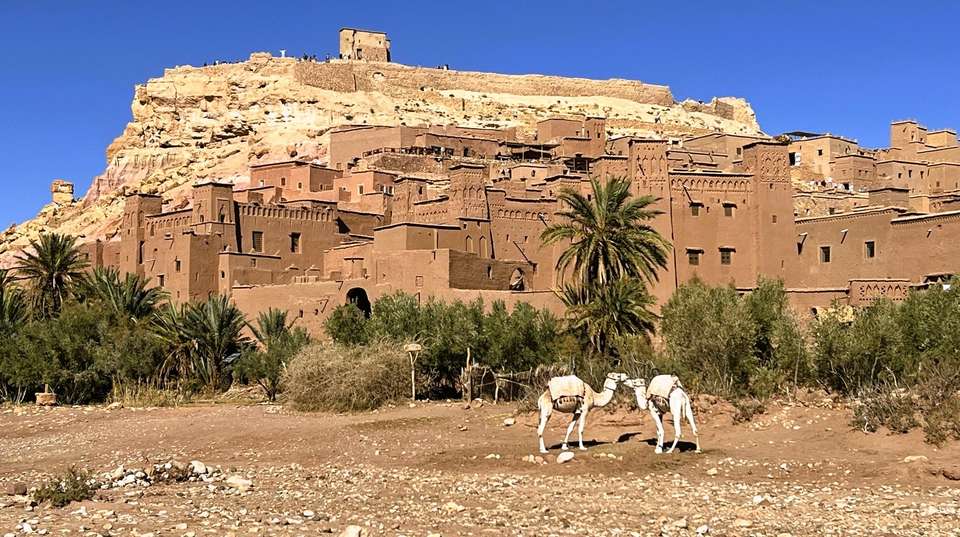 10 Day Tour from Casablanca - Imperial Cities & Sahara - Guided Morocco Tours - Morocco - Image 2