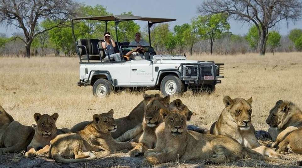 Zimbabwe Heritage and Wildlife Tour: 10 Days  - Dk Tours & Safaris - Zimbabwe - Image 10