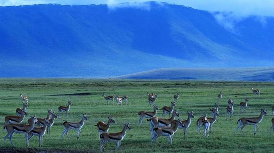 10 Days Family Package - Hope Adventures Safaris - Tanzania - Image 2