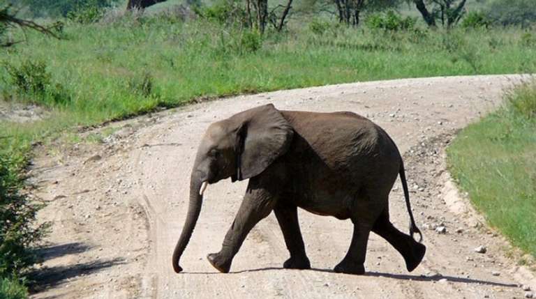 10 Days Family Package trip - alternative tour available