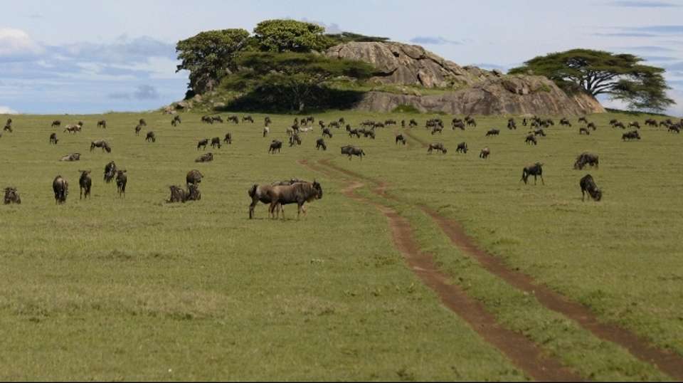 10 Days Family Package - Hope Adventures Safaris - Tanzania - Image 4
